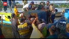 VIDEO: Tinggal Mengungsi, Buaya di Kalsel Dievakuasi Petugas