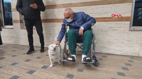 VIDEO: Anjing Ini Setia Menunggu Tuannya Dirawat di RS