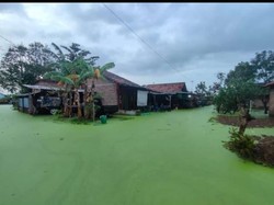 Viral Banjir Berwarna Hijau di Pekalongan, Ternyata Ini Sebabnya