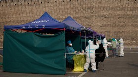 China Pakai Tes Swab Anal untuk Deteksi Virus Corona