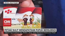 VIDEO: Petani Sulit Mendapatkan Pupuk Bersubsidi