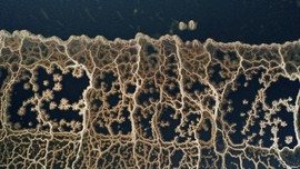 FOTO: Tepi Laut Mati yang Mengkristal