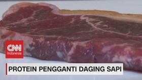 VIDEO: Protein Pengganti Daging Sapi