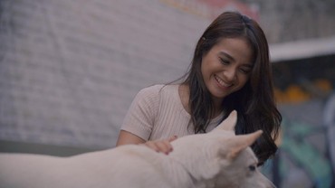 img-title Film Baru Netflix 'June & Kopi' Angkat Kisah Persahabatan Manusia & Hewan