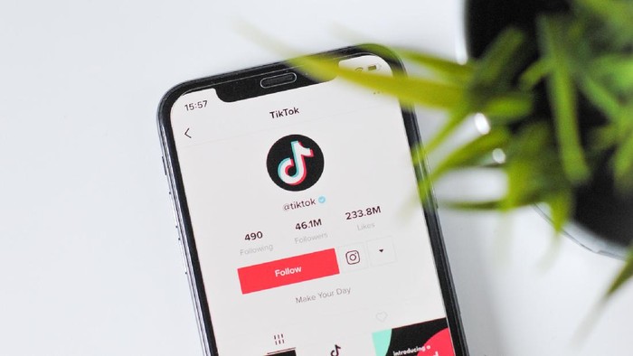 Kece Abis, 4 Akun TikTok Ini Recommended Buat Belajar Bisnis!