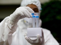 Fakta-Fakta Delta Plus, Mutasi Terbaru Varian Delta Virus Corona