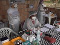 VIDEO: Brasil Temukan Virus Corona Varian Baru di Amazon