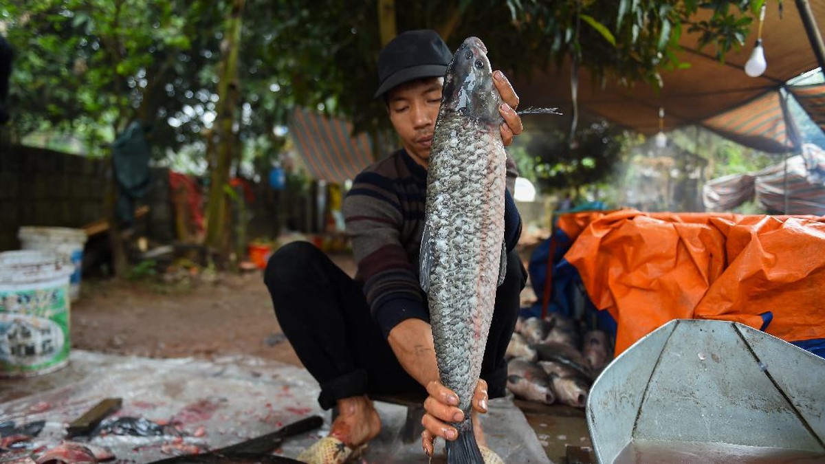 FOTO: Menengok Pembuatan Claypot Ikan Vietnam Jelang Imlek