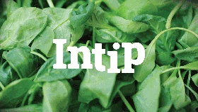 INTIP: 7 Sayuran yang Bantu Turunkan Berat Badan