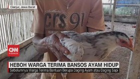VIDEO: Heboh Warga Terima Bansos Ayam Hidup