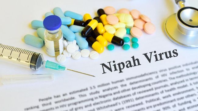 Virus Nipah dikhawatirkan jadi pandemi baru di Asia. Berikut gejala virus Nipah, menurut WHO.