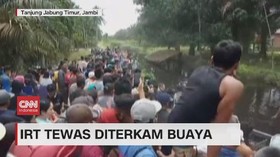 VIDEO: IRT Tewas Diterkam Buaya