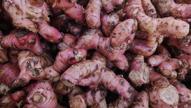 Red ginger (Zingiber officinale Roscoe var rubrum) on a basket in the storefront of supermarket. Indonesian people use red ginger for alternative herbal medicine