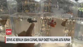 VIDEO: Servis AC Beralih Usaha Cupang
