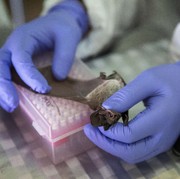 Heboh Virus Nipah Picu 2 Kematian di India, Ini Sejarah, Penyebab, Gejala, dan Cara Mencegahnya