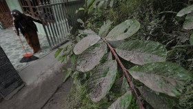 Hujan Abu Merapi di Sejumlah Desa Magelang Sabtu Malam