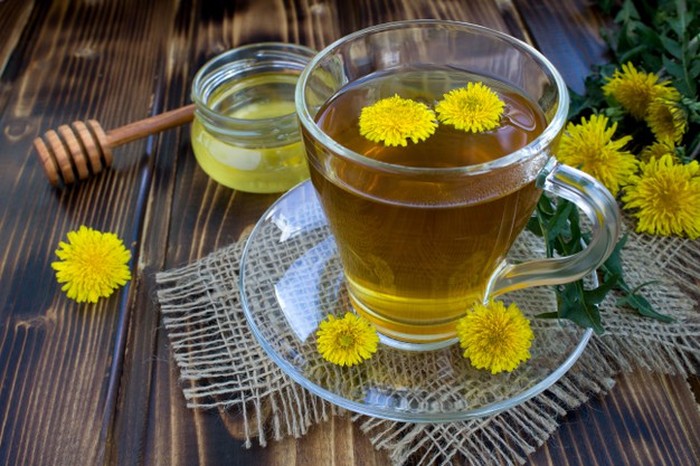 Konon dengan minum teh dandelion yang mengandung kalsium dan vitamin K pendukung tulang, akan membantu memperlambat perkembangan osteoporosis.