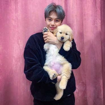 Pemeran Logan Lee di 'The Penthouse' Dituduh Telantarkan Hewan Peliharaan