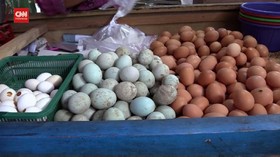 VIDEO: Harga Telur Turun, Pedagang Keluhkan Sepi Pembeli