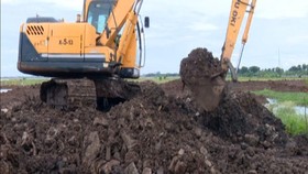 VIDEO: 1.500 Petak Makam Covid di TPU Rorotan Siap Digunakan