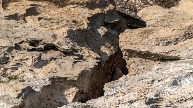 Gempa Bumi Megathrust yang Mengancam Pulau Jawa dan Sumatera: Peringatan Tegas dari BMKG