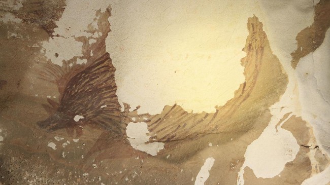 Salah satu cara arkeolog menghitung umur lukisan gua masa prasejarah dengan mengukur sampel selisih uranium di gambar cadas yang ditemukan.