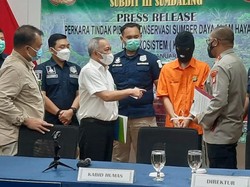 Raup Untung hingga Rp 50 Juta, Begini Modus Penjual Hewan Langka di FB