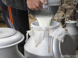Segini Kebutuhan Susu buat Program Makan Bergizi Gratis Prabowo
