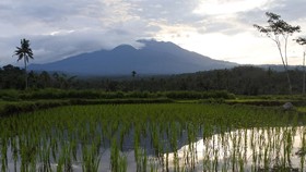 Gunung Raung Semburkan Abu Vulkanik Setinggi 2.000 M