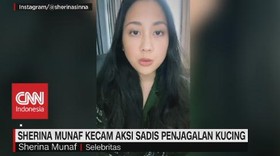 VIDEO: Sherina Munaf Kecam Aksi Sadis Penjagalan Kucing