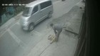 VIDEO: Aksi Pencurian Anjing Viral di Media Sosial