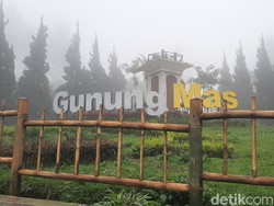 Agrowisata Gunung Mas yang Tunggu Giliran Dibongkar Itu Dulu Favorit Keluarga