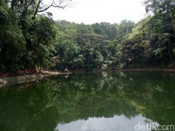 Film KKN di Desa Penari Tayang, Rowo Bayu Kembali Jadi Sorotan