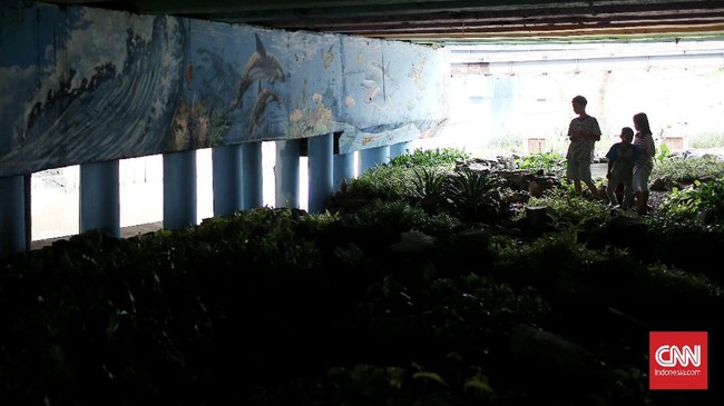 FOTO: Kolong Jembatan Tunawisma Disulap Jadi Taman Kota