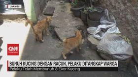 VIDEO: Bunuh Kucing dengan Racun, Pelaku Ditangkap Warga