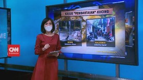 VIDEO: Fenomena Penjagalan Kucing