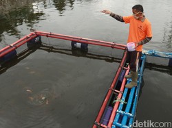 Kreatifnya Warga Bandung, Ubah Kolam Retensi untuk Budidaya Ikan dan Wisata
