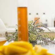 Rekomendasi 5 Produk Mengandung Argan Oil yang Cocok untuk Semua Jenis Kulit