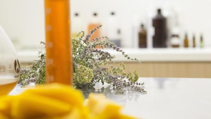 Rekomendasi 5 Produk Mengandung Argan Oil yang Cocok untuk Semua Jenis Kulit