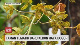 VIDEO: Taman Tematik Baru Kebun Raya Bogor