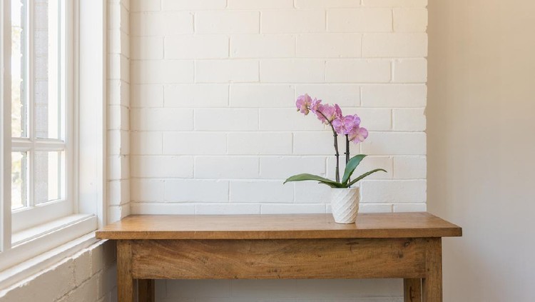 Purple phalaenopsis orchid in pot on wooden oak side table against white painted brick wall and window (selective focus)