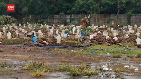 VIDEO: Lahan Makam Covid-19 di Dua Daerah Ini Hampir Penuh