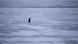 Batu 'Mengambang', Fenomena Langka di Danau Tertua Dunia