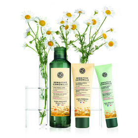 6 Rangkaian Yves Rocher Sensitive Chamomille untuk Kulit Sensitif
