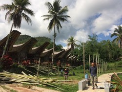 Liburan Sehari ke Toraja, Ini Itinerarynya