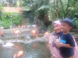 Reda Corona, Yuk Lihat Burung Flamingo di Batu Secret Zoo