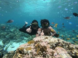 Secuil Surga Bawah Laut Yapen Papua