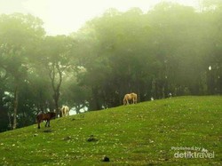 Sisi Lain NTT yang Cantiknya Bak Negeri Dongeng