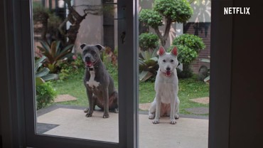 Tayang di Netflix, Ini 4 Fakta Menarik Film 'June & Kopi'