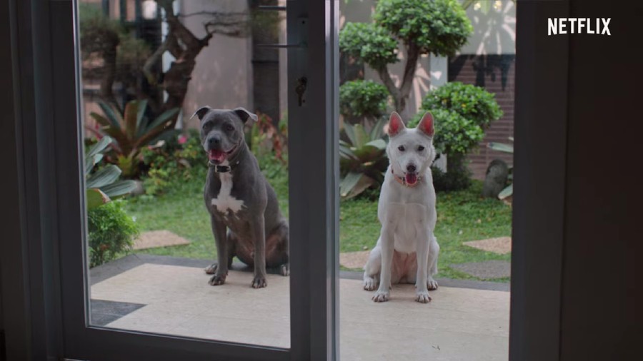 June & Kopi